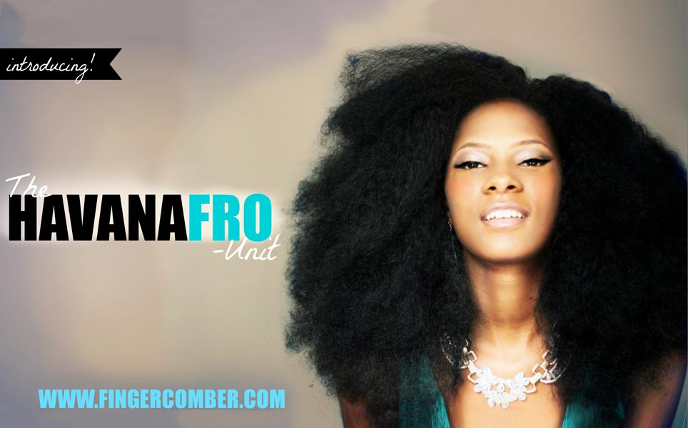HAVANA-FRO-BANNER