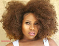 THE KINKY KURLY AFRO UNIT - Autumn Spice image